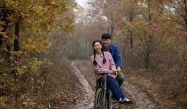 电视剧何三妹,逆境中的坚韧女性传奇