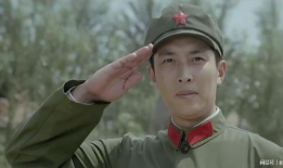 高山下的花环电视剧,电视剧高山下的花环情感之旅